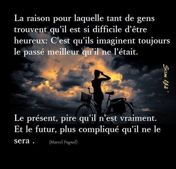 la raison pour laquelle ............................