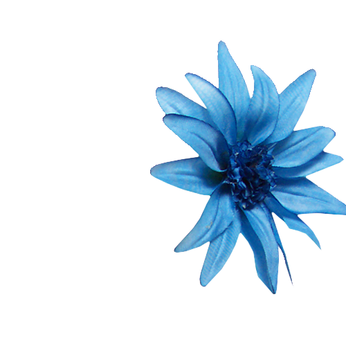 fleur  bleue