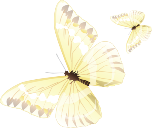 papillons jaunes