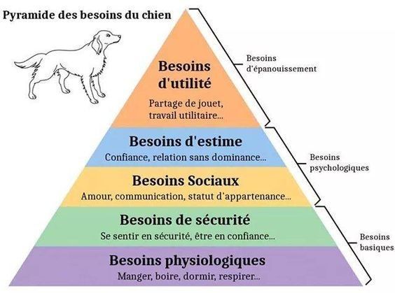 la pyramide du chien