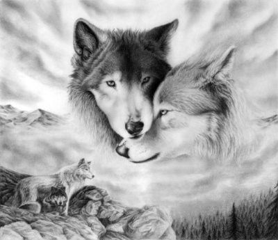 les loups