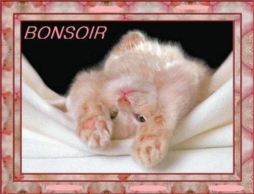 bonsoir